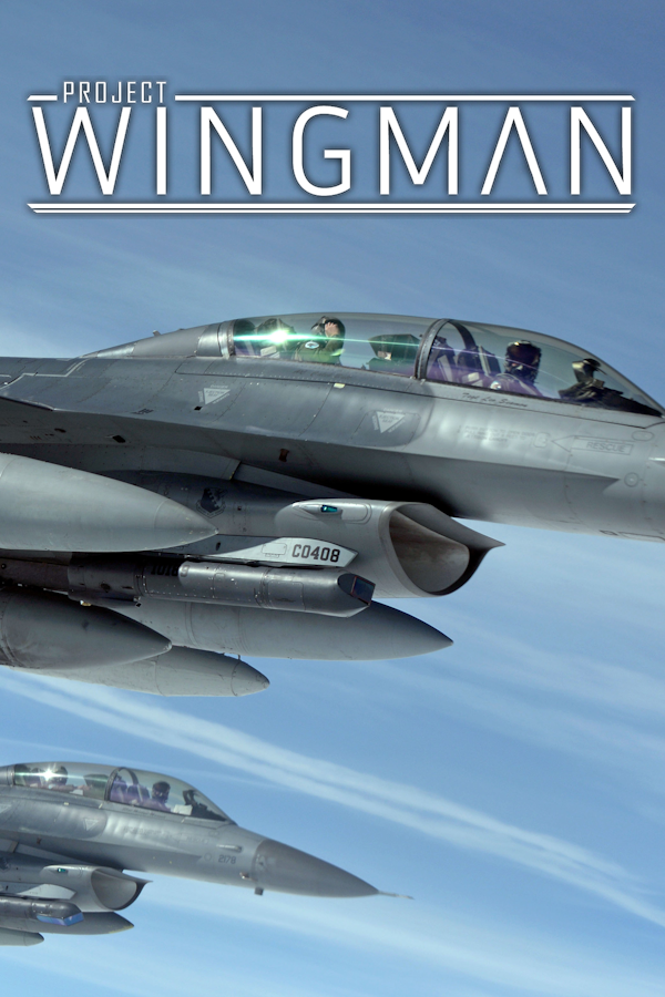 Project Wingman